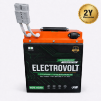 Scooter Lithium ION Battery 60V 40ah, 2Y Warantee (NMC Cell)